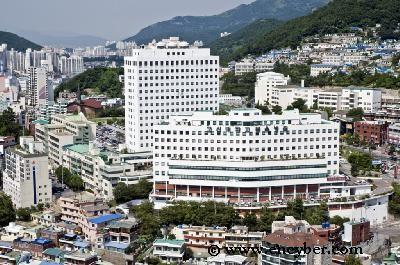 고신대학교 복음병원