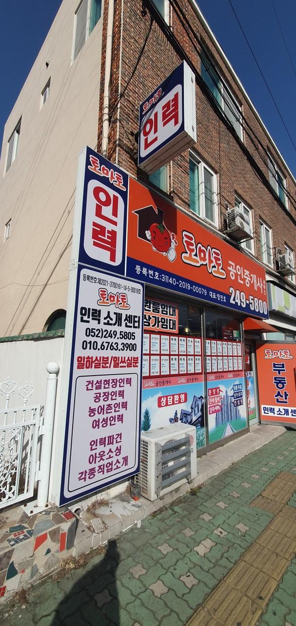 토마토인력사무소